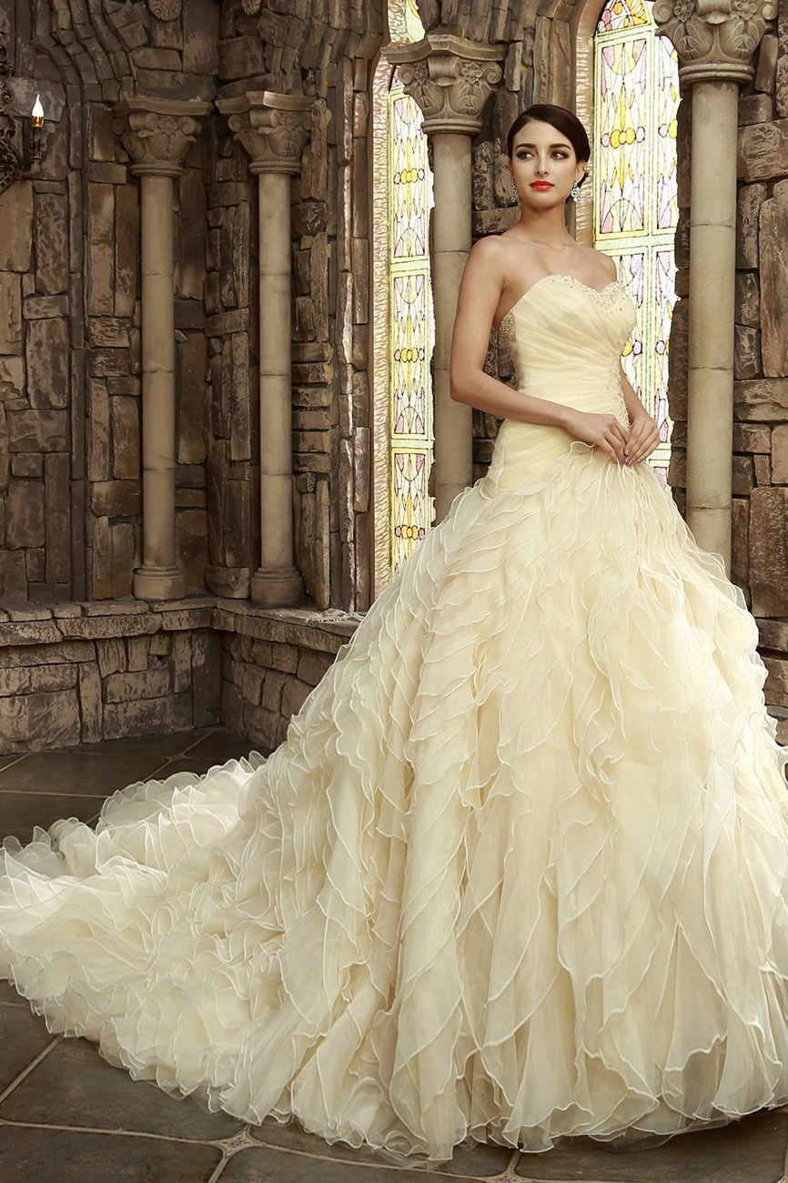Ball Gown Sweetheart Chapel Train Organza Wedding Dress - Thumbnail 2