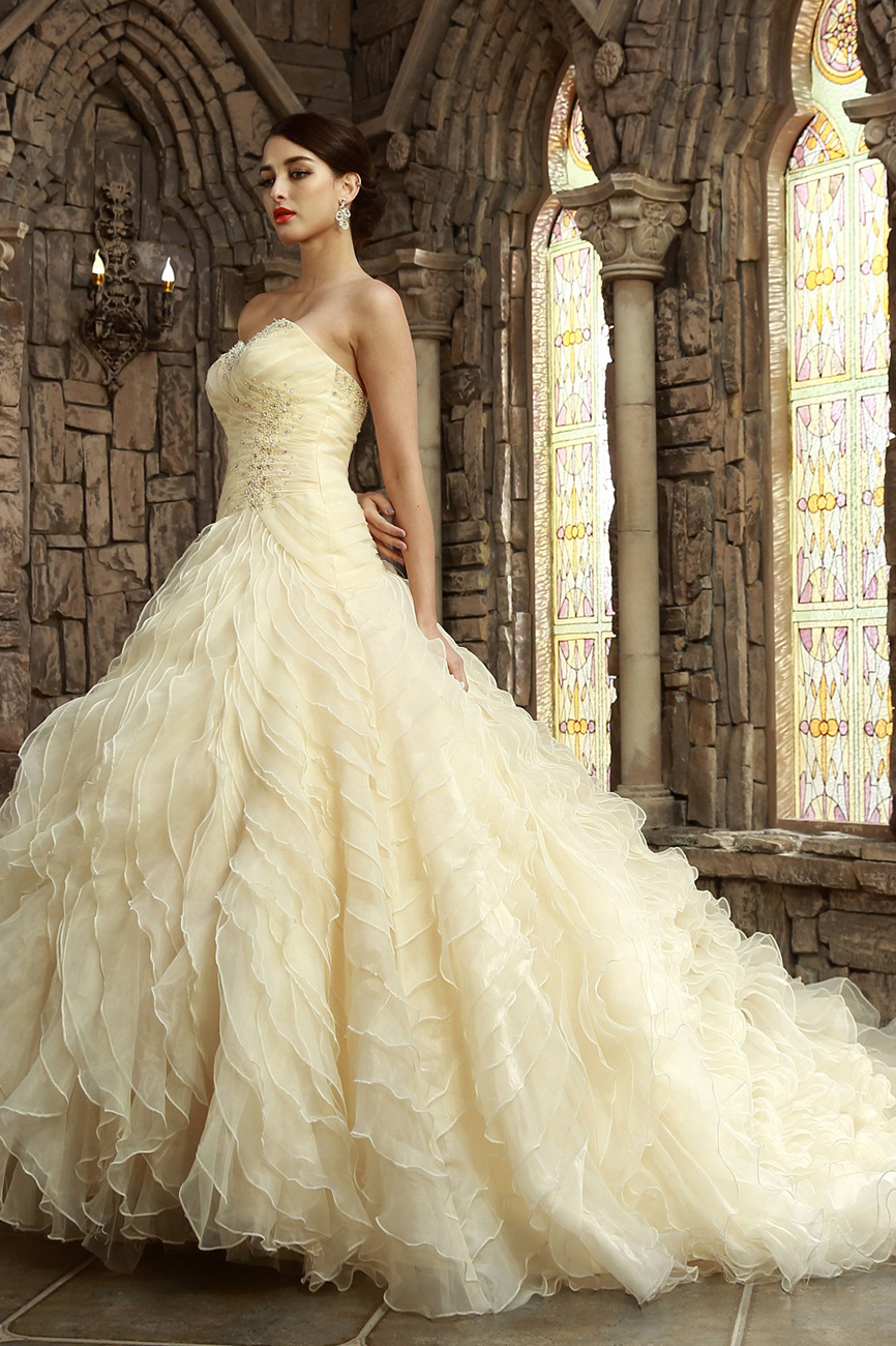Ball Gown Sweetheart Chapel Train Organza Wedding Dress - Thumbnail 3